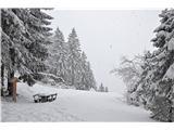 DRAŽGOŠKA GORA, 30.1.14, foto: BARBARA DEBELJAK