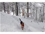 Dražgoška gora DRAŽGOŠKA GORA, 10.02.14, foto: BARBARA DEBELJAK