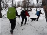 Četica koraka kljub težkim pogojem na poti