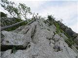 po razu izpostavljeno proti vrhu