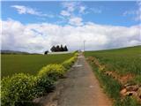 Camino France - pot tisočerih korakov 