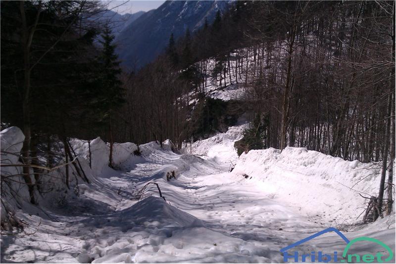 plaz1
