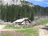 Planina Dolge njive pri turi na Košutnikov turn.