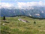 Planina Pekol.