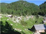 Planina Dedno polje -lepa kot vedno.