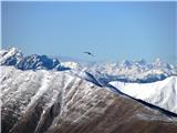 Rifugio Pelizzo - Monte Mataiur/Matajur