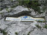 Jezero Jasna pri Kranjski Gori Varovalna mreža  ob cesti skriva svoj zaklad.