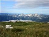 Bohinjske gore