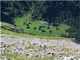 Planina v Lazu približano