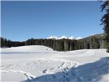 Planina Zajavornik in pogled proti Viševniku