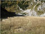 Pod Studorskim prevalom je planina Jezerce. Tu nikoli ne vidim poleti živine. 