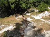 Tukaj se s ceste zavije na stmo  označeno pot naravnost na planino Dovčko Rožco.