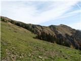 Planina je obširna , nekako omejena z žično ograjo.