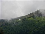 Malga di monte Cuar Planina monte Cuar