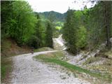 Malga di monte Cuar Lepa makadamska pot