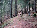 Planina Ravna-Planina Strehica Proti planini Strehica