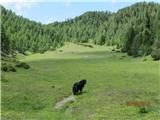 zg. del doline Gajščica, malo pred rušjem na sredini doline zavijemo desno