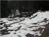 Gozdna cesta, ki pelje na Rakeževo planino-sneg na cesti.