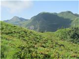 Passo della Forcella - Col Gentile