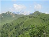 Passo della Forcella - Col Gentile