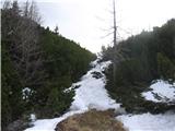 Planina Korošica po lovski,Košutica od Hajnževoga sedla do koče na starem Ljubelju Tik pred Hajnževim sedlom.