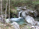 Storžič od Jekarice, Mali Grintavec, Bašeljski vrh Nazaj grede  pa obisk slapičev ob cesti na Jekarico. Vode je veliko in bistra rečica dela številne majhne slapiče in tolmunčke.