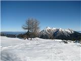 Nekako 15. minut pred  Vrtaškim vrhom se strmina konča-pogled prot Avstriji.