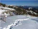 Rifugio Pelizzo - Monte Mataiur/Matajur