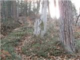 Marija Reka (Strgarjev kamnolom) - Golava