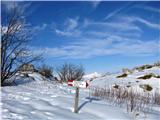 Rifugio Pelizzo - Matajur