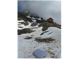 Stettiner hutte (Rifugio Petrarca) - Grafspitze (3147) Modroci ležijo 100m stran od koče !