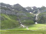 Stettiner hutte (Rifugio Petrarca) - Grafspitze (3147) Zatrep doline je raj za živino 