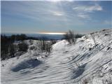 Rifugio Pelizzo - Monte Mataiur/Matajur