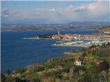 Izola