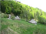 Planina je še brez cvetja, toda čez en mesec bo drugače.