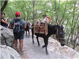 Velika in Mala Paklenica oskrba domov na klasični način