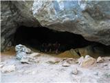 Velika in Mala Paklenica jama Kapljarka, notri je tudi voda