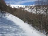 Rifugio Pelizzo - Matajur