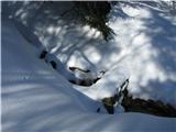 Rifugio Pelizzo - Monte Mataiur/Matajur