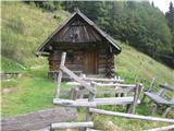 Icmankova planina na turi na Strelovec.