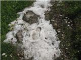 Proti koči na Zelenici-tudi tu je bila snežna nevihta.