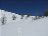 Rifugio Pelizzo - Matajur