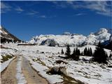 Planina Pecol Na planini Pecol