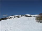 Rifugio Pelizzo - Monte Mataiur/Matajur