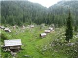 Planina Dedno polje.