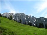 Pašniki planine s prekrasim pogledom.