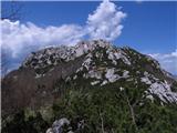 Veliki Risnjak (1528 m)