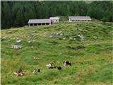 Malga Grantagar-Viška planina 