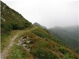 Monte Paularo Single track-pot št.404