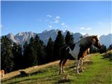 Blekova planina-Vošca 